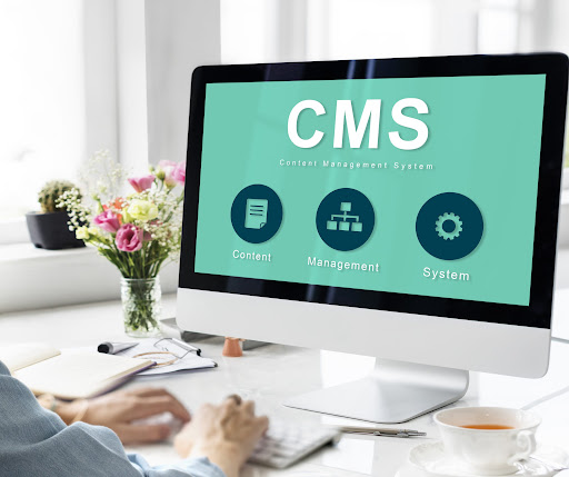 Custom CMS Solutions